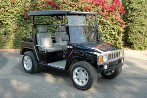 affordable golf cart rental, golf cart rent satellite beach